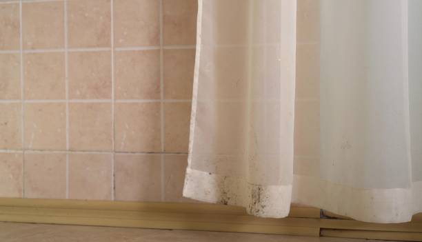 Best Mold Odor Removal Services  in Sioux Falls, SD