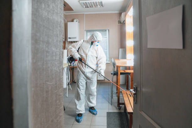 Best Post-Construction Mold Inspection  in Sioux Falls, SD
